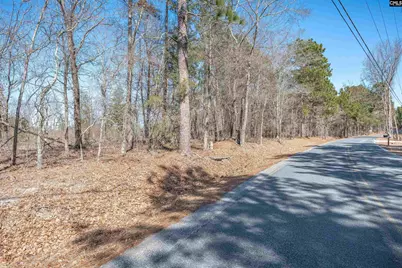 0 Windy Road, Gilbert, SC 29054 - Photo 3
