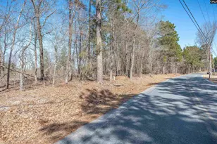 0 Windy Rd, Gilbert, SC 29054 - Photo 3