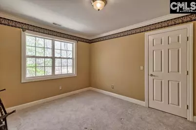 1123 Loner Road, Blythewood, SC 29016 - Photo 33
