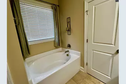 526 Bronze Drive, Lexington, SC 29072 - Photo 17
