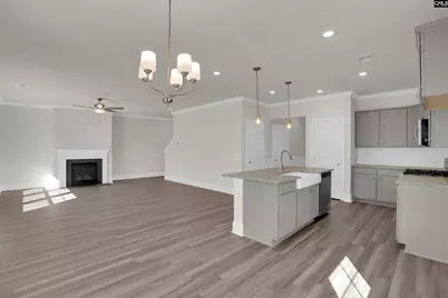 618 Griffon Drive, Chapin, SC 29036 - Photo 11