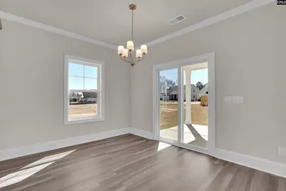 618 Griffon Drive, Chapin, SC 29036 - Photo 9