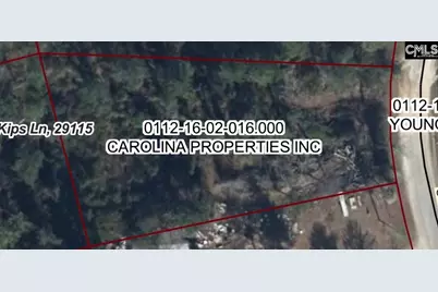 5075 Coburg Lane, Orangeburg, SC 29115 - Photo 1