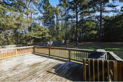 142 Mountain Maple Lane, Blythewood, SC 29016 - Photo 21