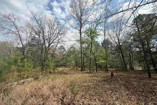 129 Treemount Ln, Gaston, SC 29053 - Photo 3