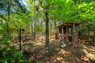 1310 Farming Creek Rd, Irmo, SC 29063 - Photo 59