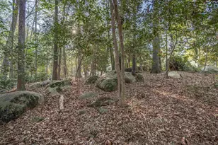 1525 Riviera Dr, West Columbia, SC 29169 - Photo 47