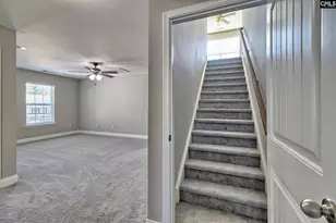 208 Woolbright Ln, Chapin, SC 29036 - Photo 45