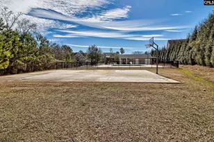 208 Woolbright Ln, Chapin, SC 29036 - Photo 57