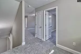 208 Woolbright Ln, Chapin, SC 29036 - Photo 27