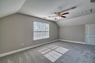 208 Woolbright Ln, Chapin, SC 29036 - Photo 47