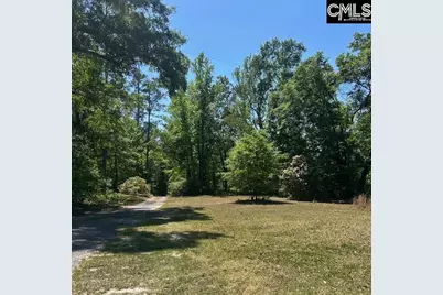 175 Geiger Lane, Gaston, SC 29053 - Photo 13