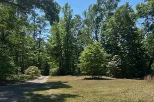 175 Geiger Ln, Gaston, SC 29053 - Photo 13