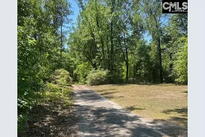 175 Geiger Lane, Gaston, SC 29053 - Photo 5