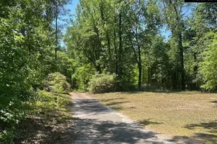 175 Geiger Ln, Gaston, SC 29053 - Photo 5