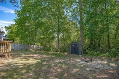 225 Burma Road, Lexington, SC 29072 - Photo 25