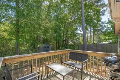 225 Burma Road, Lexington, SC 29072 - Photo 29