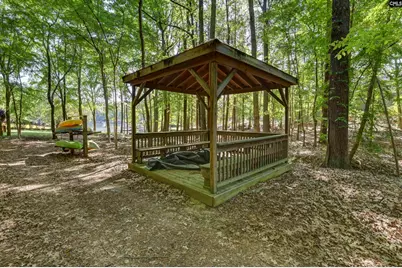 122 Lost Lure Lane, Chapin, SC 29036 - Photo 65