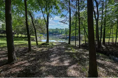 122 Lost Lure Lane, Chapin, SC 29036 - Photo 67