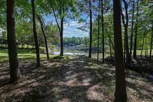 122 Lost Lure Ln, Chapin, SC 29036 - Photo 67