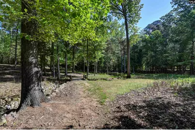 122 Lost Lure Lane, Chapin, SC 29036 - Photo 69