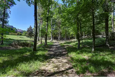122 Lost Lure Lane, Chapin, SC 29036 - Photo 65