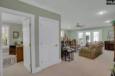450 Oxenbridge Way, Chapin, SC 29036 - Photo 53