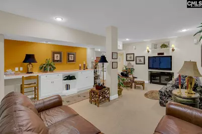 450 Oxenbridge Way, Chapin, SC 29036 - Photo 59
