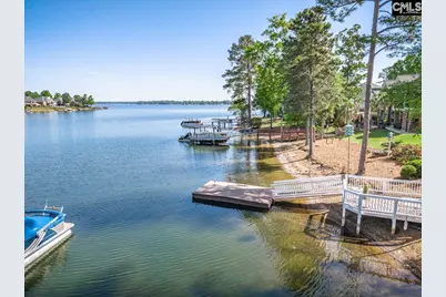 450 Oxenbridge Way, Chapin, SC 29036 - Photo 65
