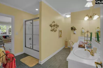 450 Oxenbridge Way, Chapin, SC 29036 - Photo 57
