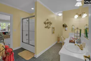 450 Oxenbridge Way, Chapin, SC 29036 - Photo 57