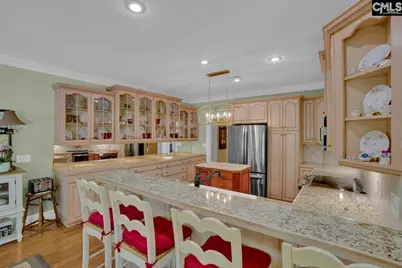450 Oxenbridge Way, Chapin, SC 29036 - Photo 43