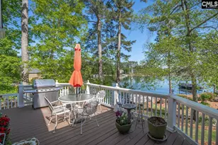 450 Oxenbridge Way, Chapin, SC 29036 - Photo 13