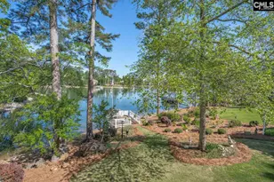 450 Oxenbridge Way, Chapin, SC 29036 - Photo 27