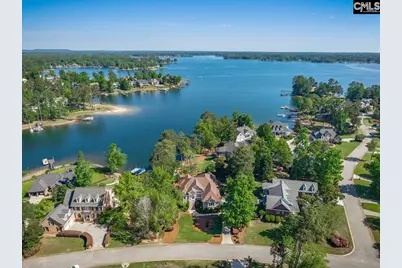 450 Oxenbridge Way, Chapin, SC 29036 - Photo 1
