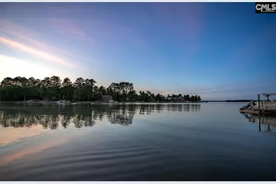 450 Oxenbridge Way, Chapin, SC 29036 - Photo 19