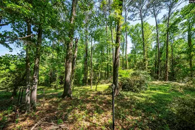 3232 Keenan Drive, Columbia, SC 29201 - Photo 37