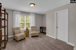 667 Dutchmans Creek Trail, Irmo, SC 29063 - Photo 27