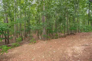 222 Gloria Tr, Columbia, SC 29203 - Photo 47