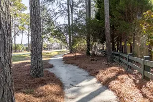 174 Backspin Dr, Elgin, SC 29045 - Photo 49