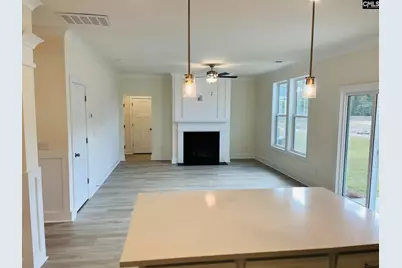 3049 Hanging Valley Road, Blythewood, SC 29016 - Photo 13