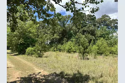 1536 Conagree Road, Hopkins, SC 29061 - Photo 3