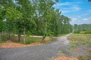 1116 Nursery Rd, Little Mountain, SC 29075 - Photo 73