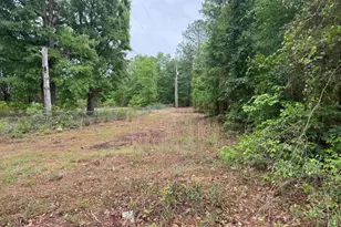 500 Bowman Ave, Elgin, SC 29045 - Photo 3