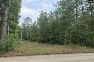 500 Bowman Ave, Elgin, SC 29045 - Photo 1