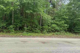 500 Bowman Ave, Elgin, SC 29045 - Photo 5