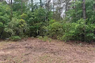 500 Bowman Ave, Elgin, SC 29045 - Photo 7