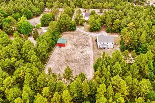 151 Chason Rd, Lexington, SC 29073 - Photo 33