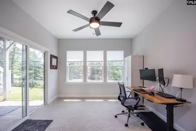 163 Highgate Lane, Chapin, SC 29036 - Photo 39