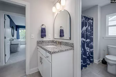 163 Highgate Lane, Chapin, SC 29036 - Photo 29
